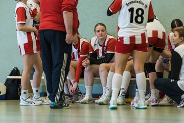Bild 137 - wBJ SV Henstedt Ulzburg - Bramstedter TS : Ergebnis: 27:15